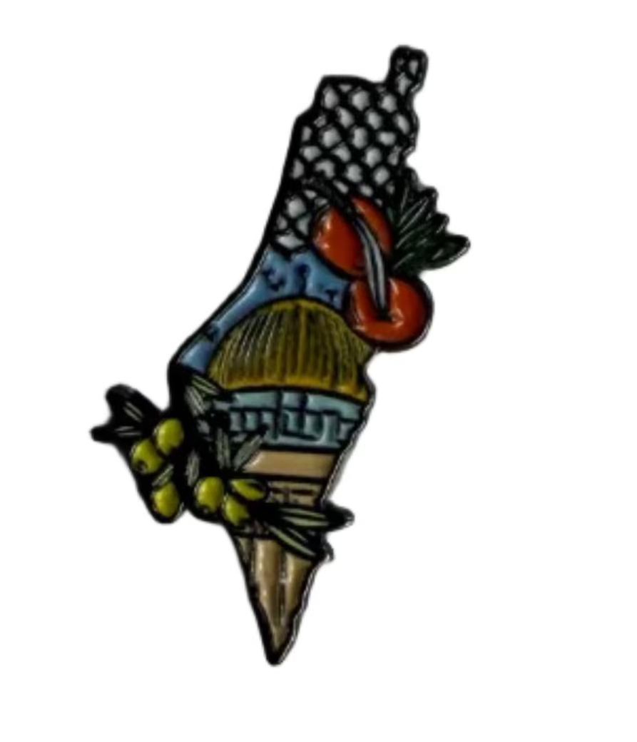 Palestine Pin